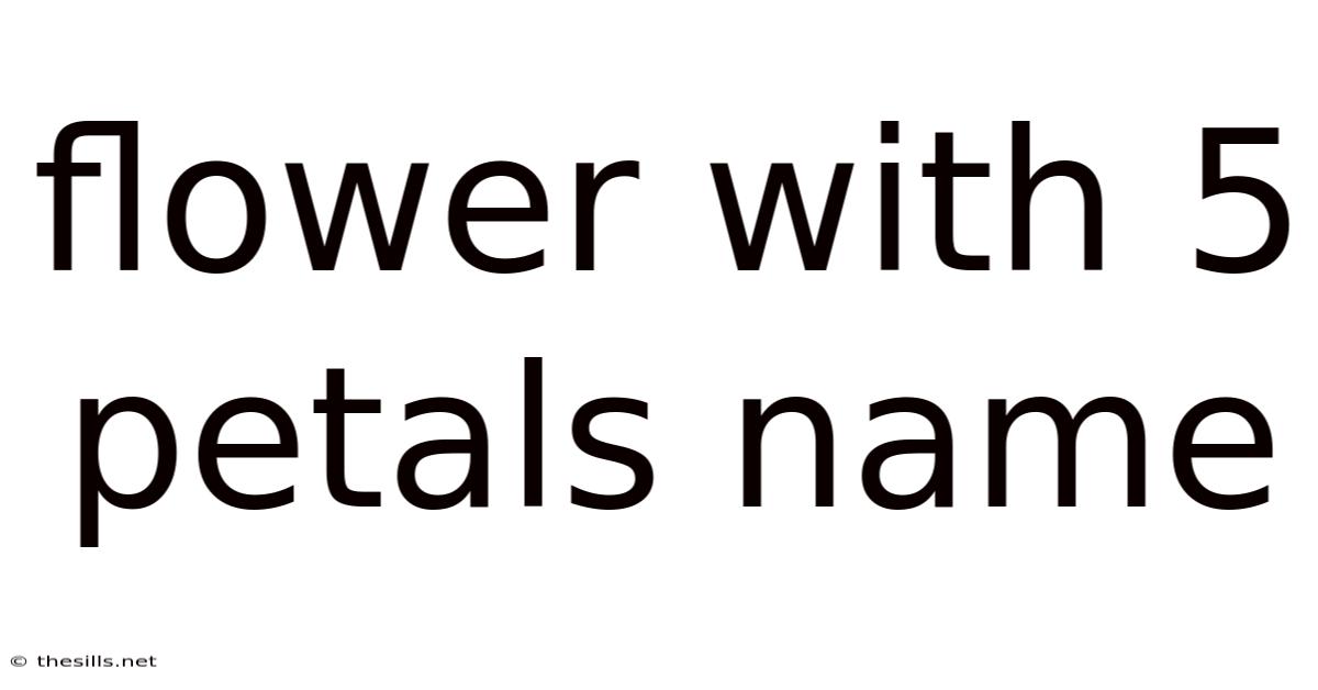 Flower With 5 Petals Name