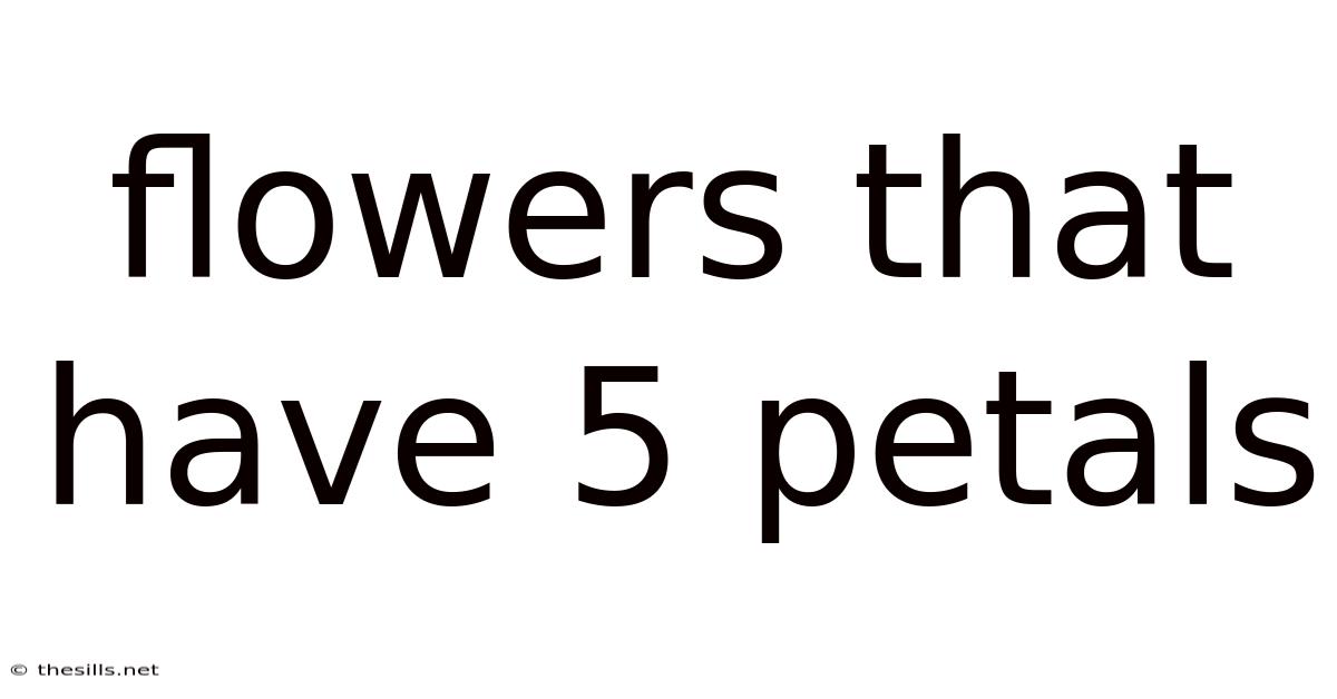 Flowers That Have 5 Petals