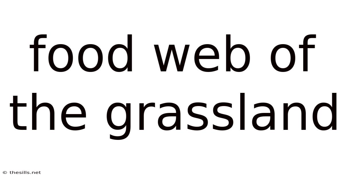 Food Web Of The Grassland