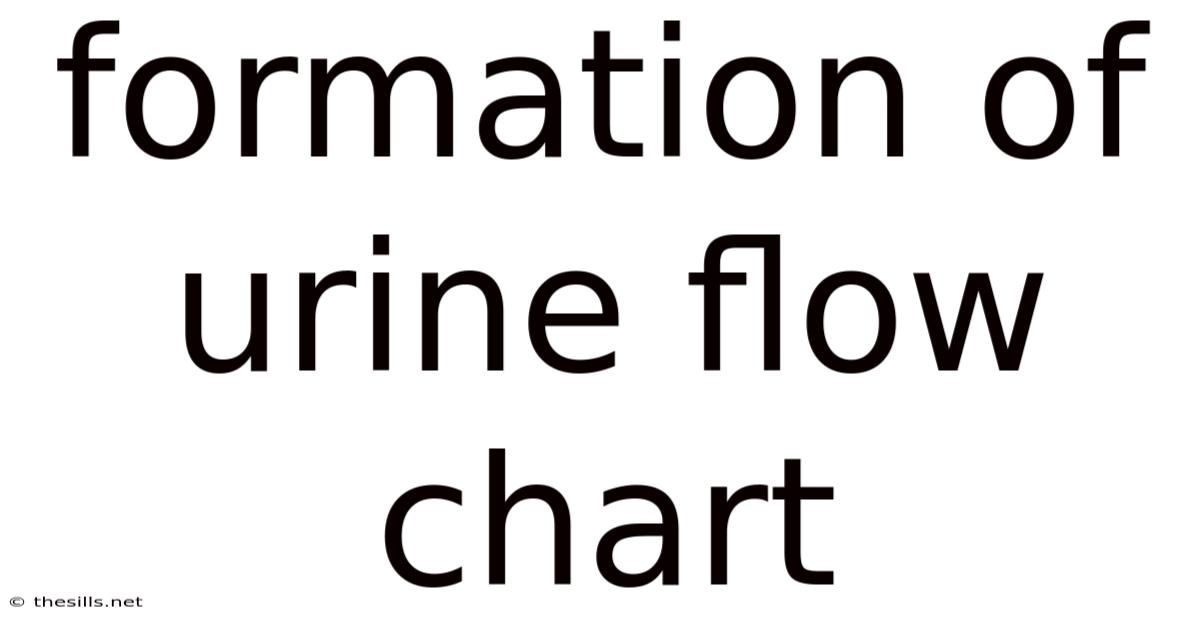 Formation Of Urine Flow Chart