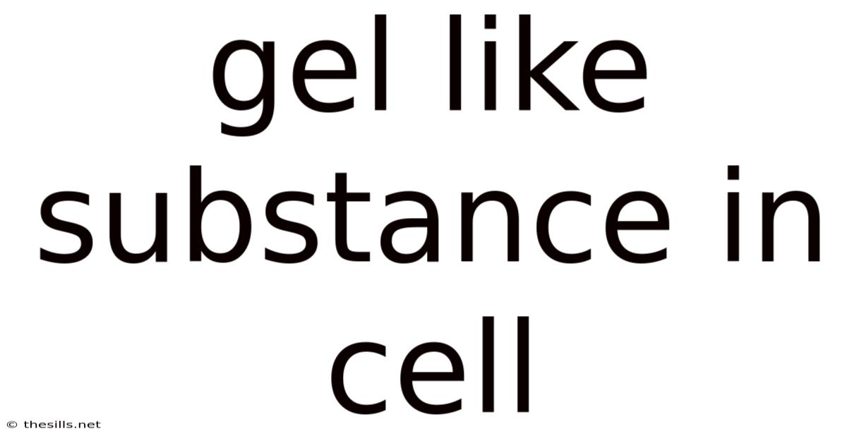 Gel Like Substance In Cell