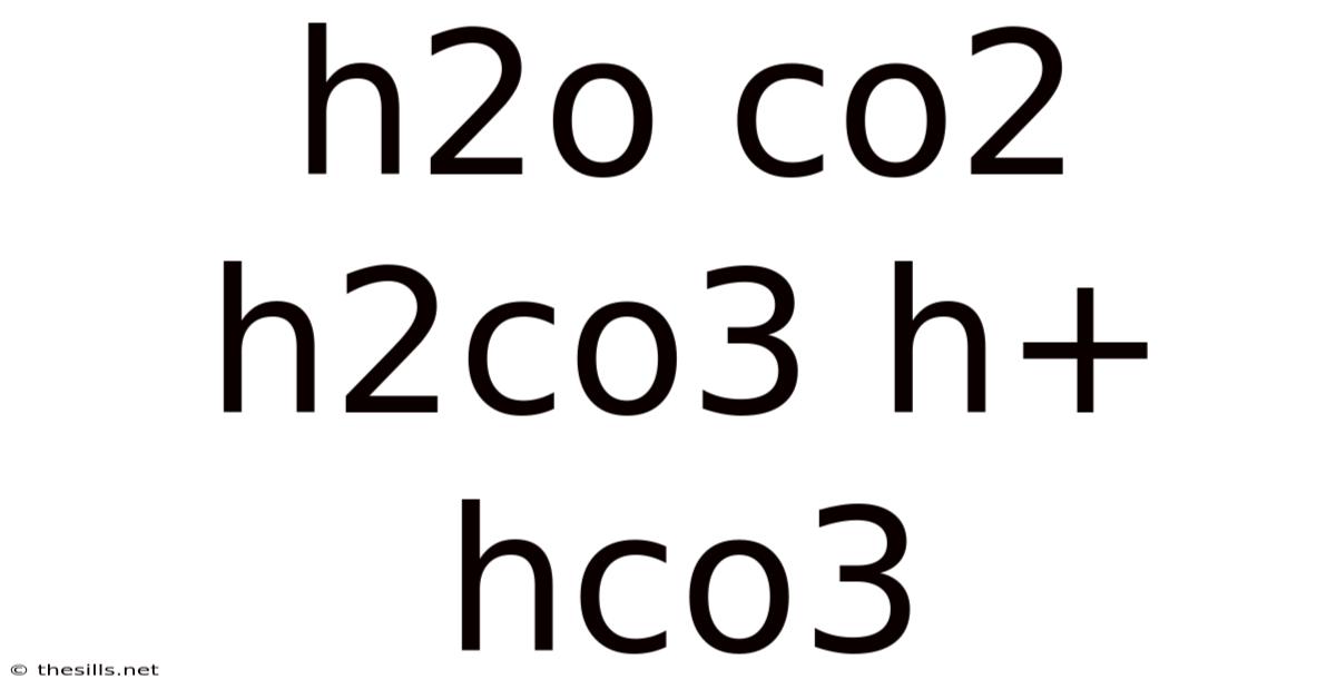 H2o Co2 H2co3 H+ Hco3