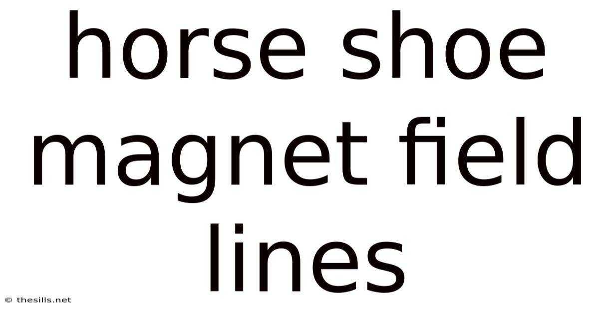 Horse Shoe Magnet Field Lines