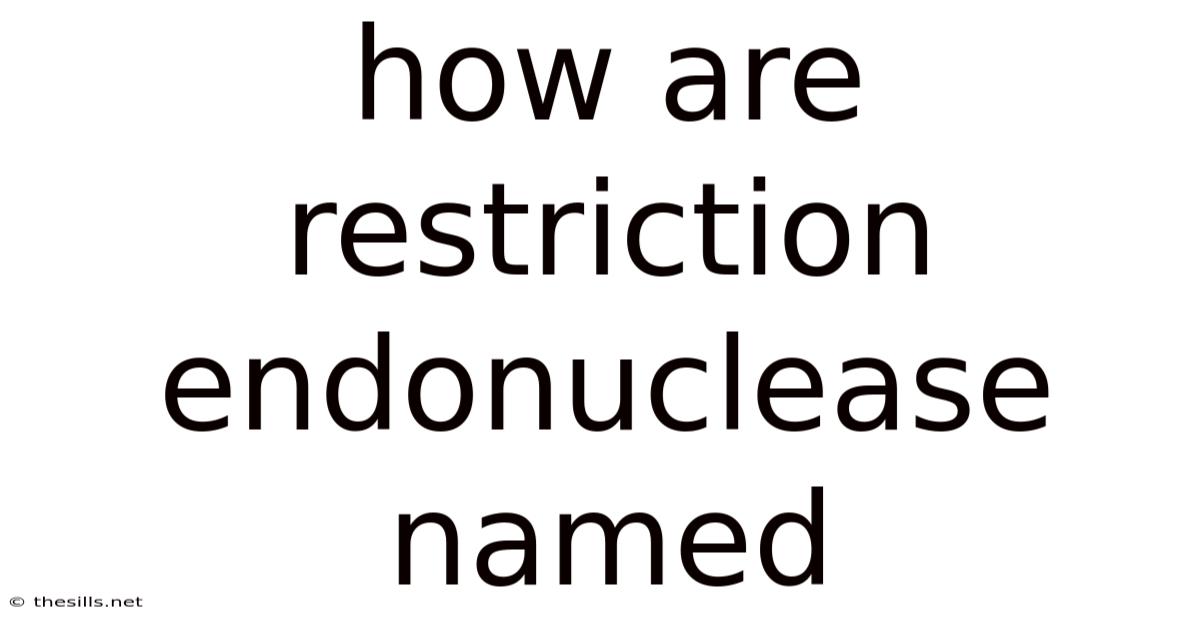 How Are Restriction Endonuclease Named