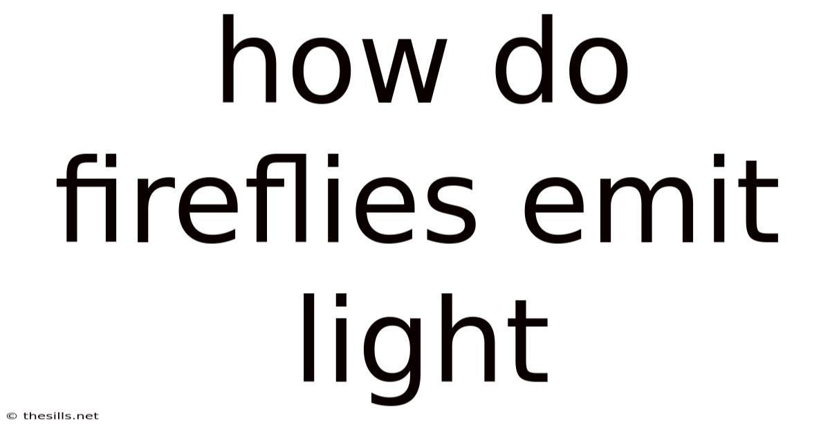 How Do Fireflies Emit Light