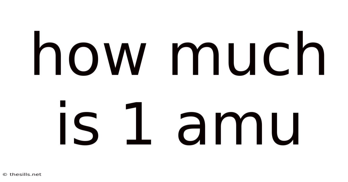 How Much Is 1 Amu