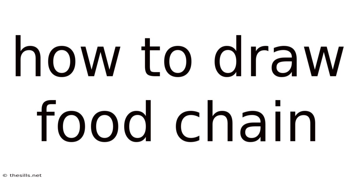 How To Draw Food Chain