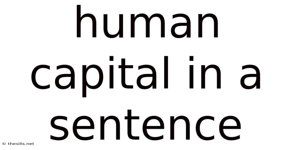 Human Capital In A Sentence