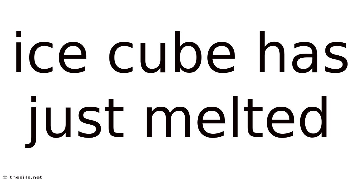 Ice Cube Has Just Melted