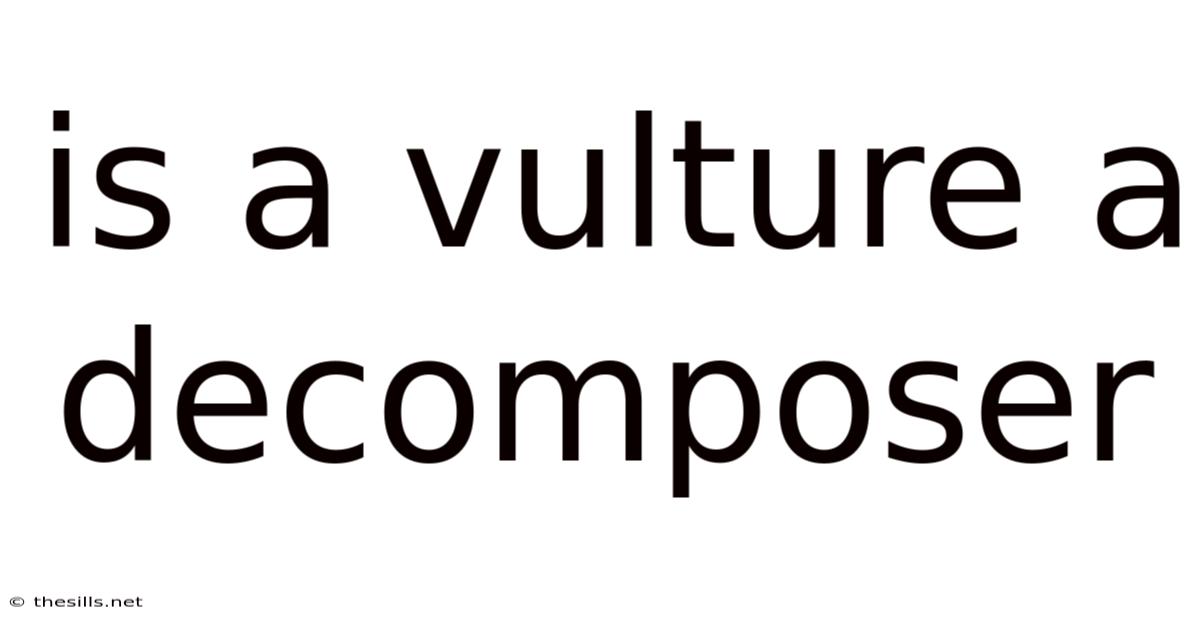 Is A Vulture A Decomposer