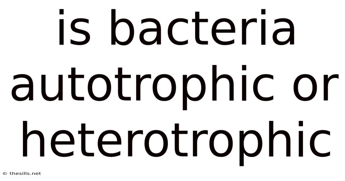 Is Bacteria Autotrophic Or Heterotrophic