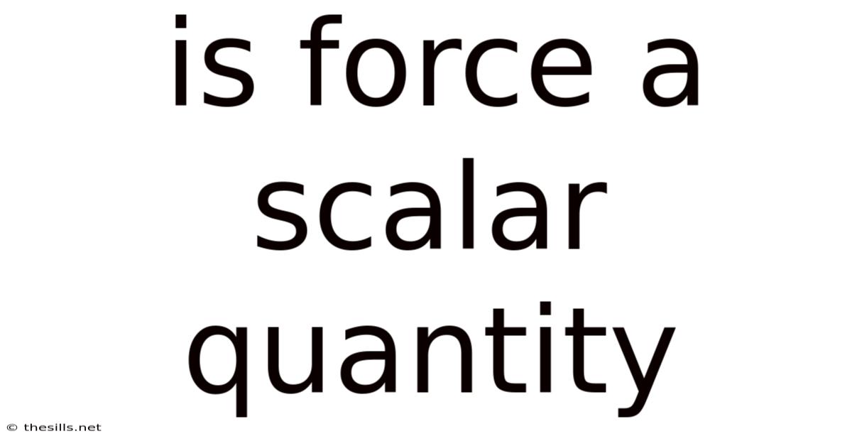 Is Force A Scalar Quantity