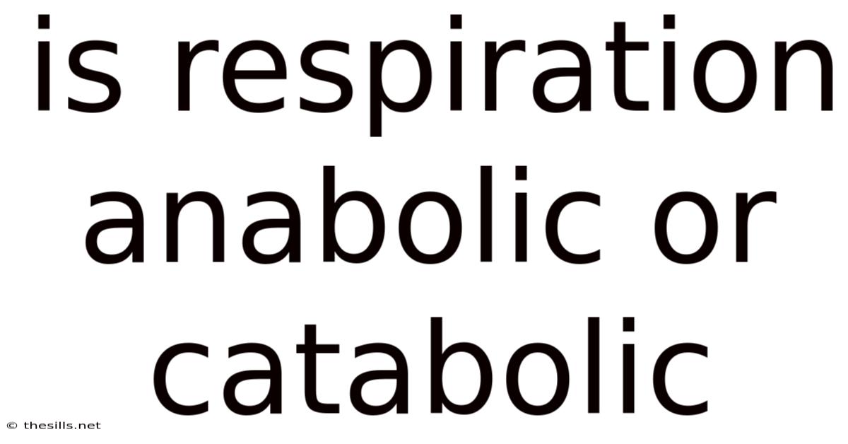 Is Respiration Anabolic Or Catabolic