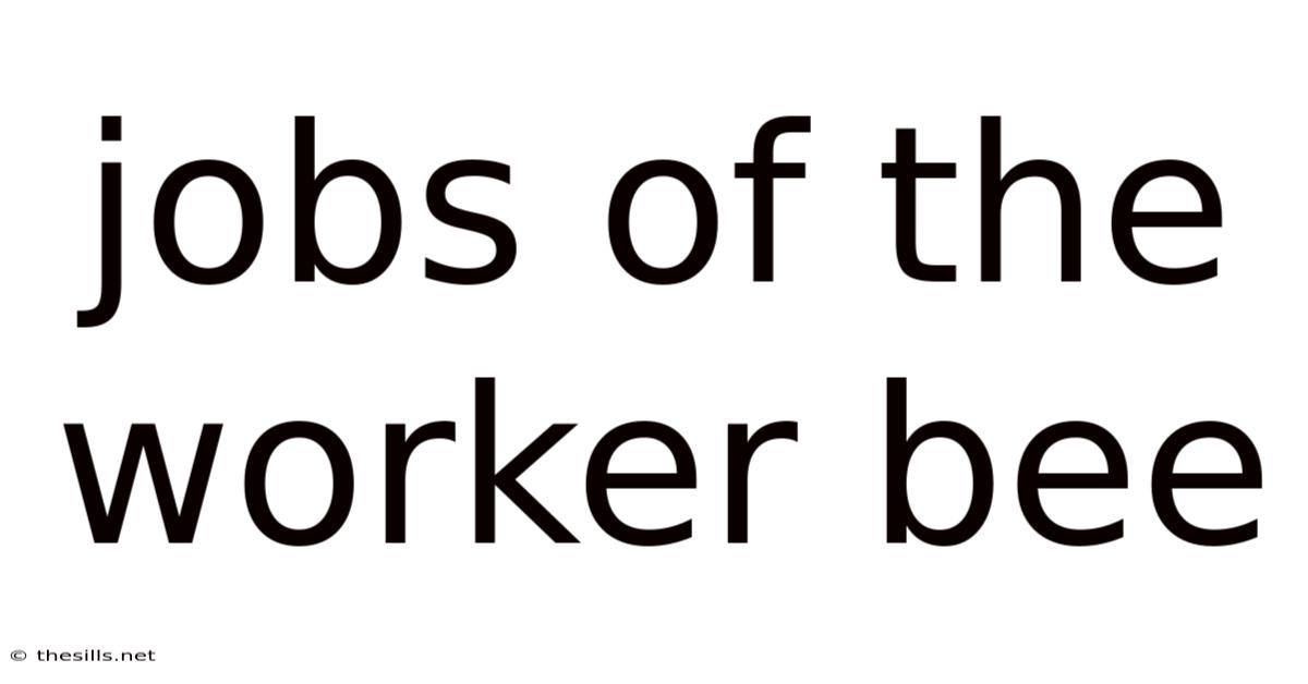 Jobs Of The Worker Bee
