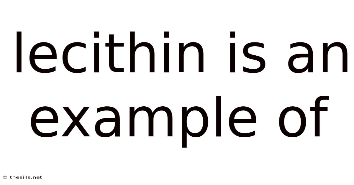 Lecithin Is An Example Of