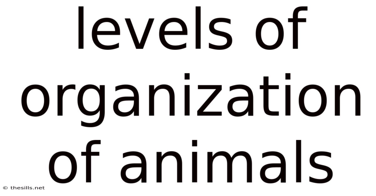 Levels Of Organization Of Animals