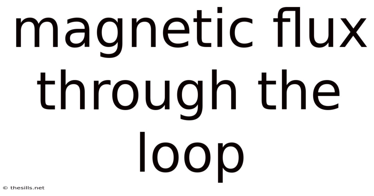Magnetic Flux Through The Loop