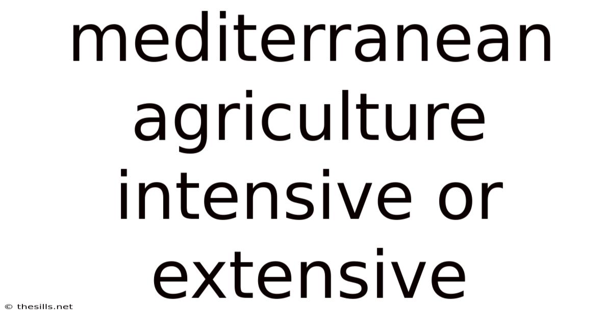 Mediterranean Agriculture Intensive Or Extensive