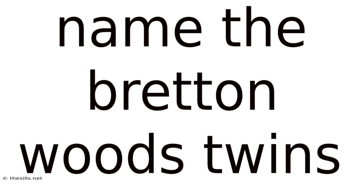 Name The Bretton Woods Twins