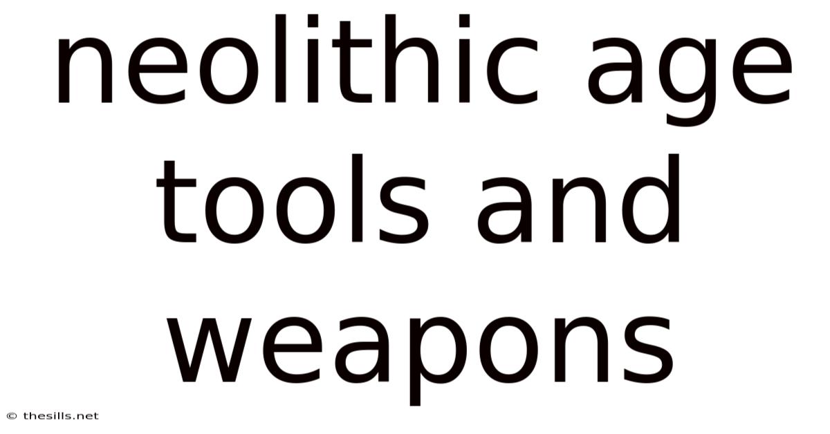 Neolithic Age Tools And Weapons