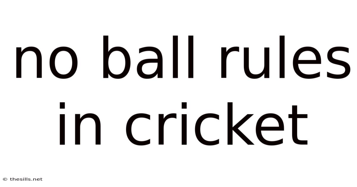 No Ball Rules In Cricket