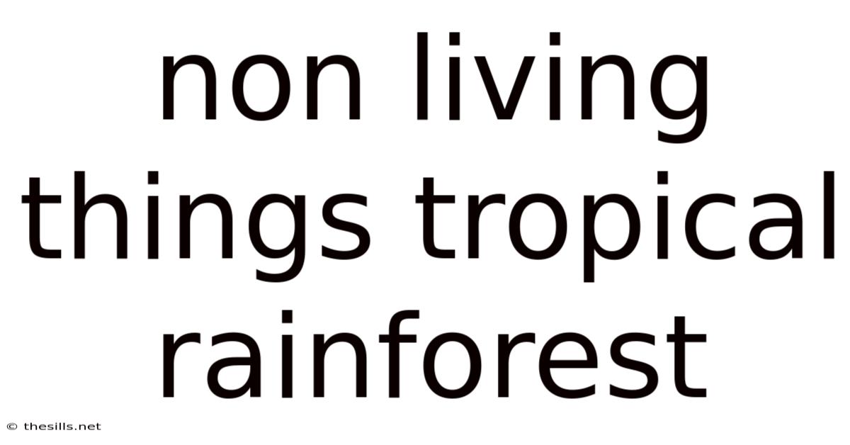 Non Living Things Tropical Rainforest