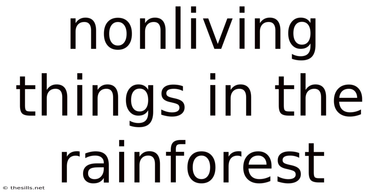 Nonliving Things In The Rainforest