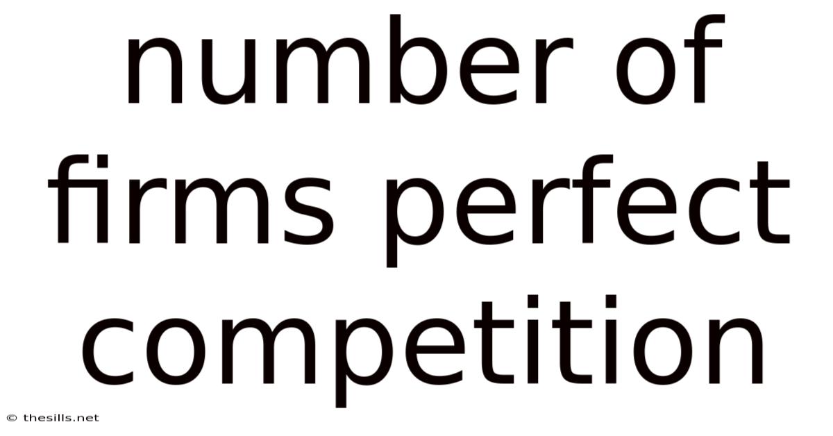 Number Of Firms Perfect Competition