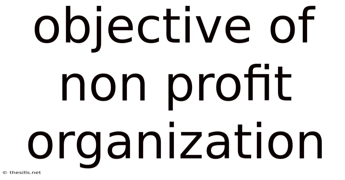 Objective Of Non Profit Organization