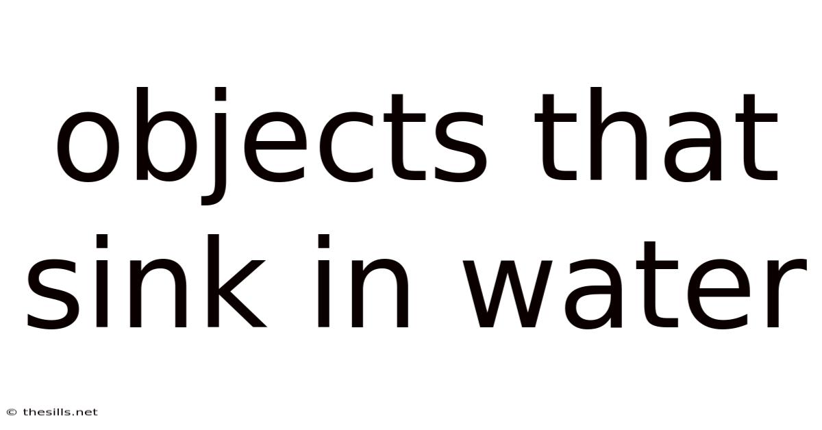 Objects That Sink In Water