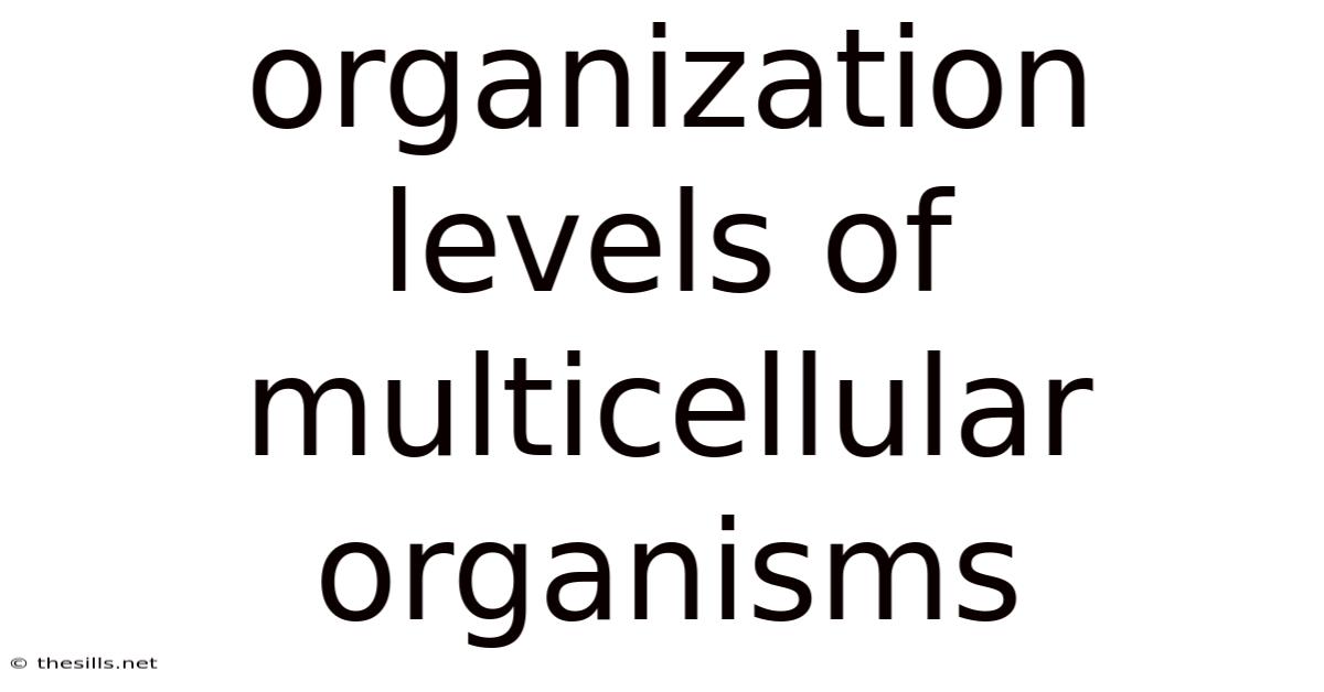 Organization Levels Of Multicellular Organisms