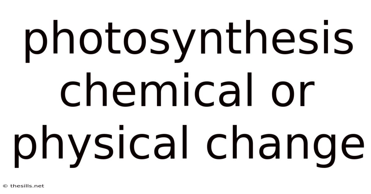 Photosynthesis Chemical Or Physical Change