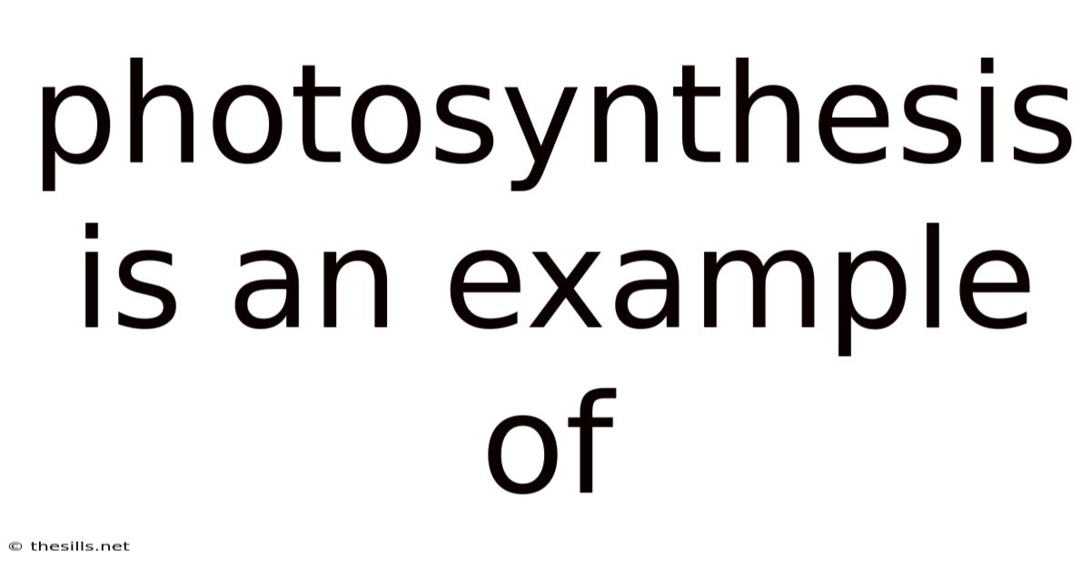 Photosynthesis Is An Example Of