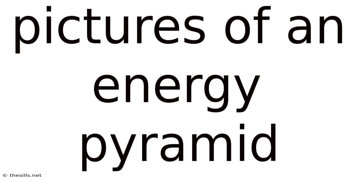 Pictures Of An Energy Pyramid