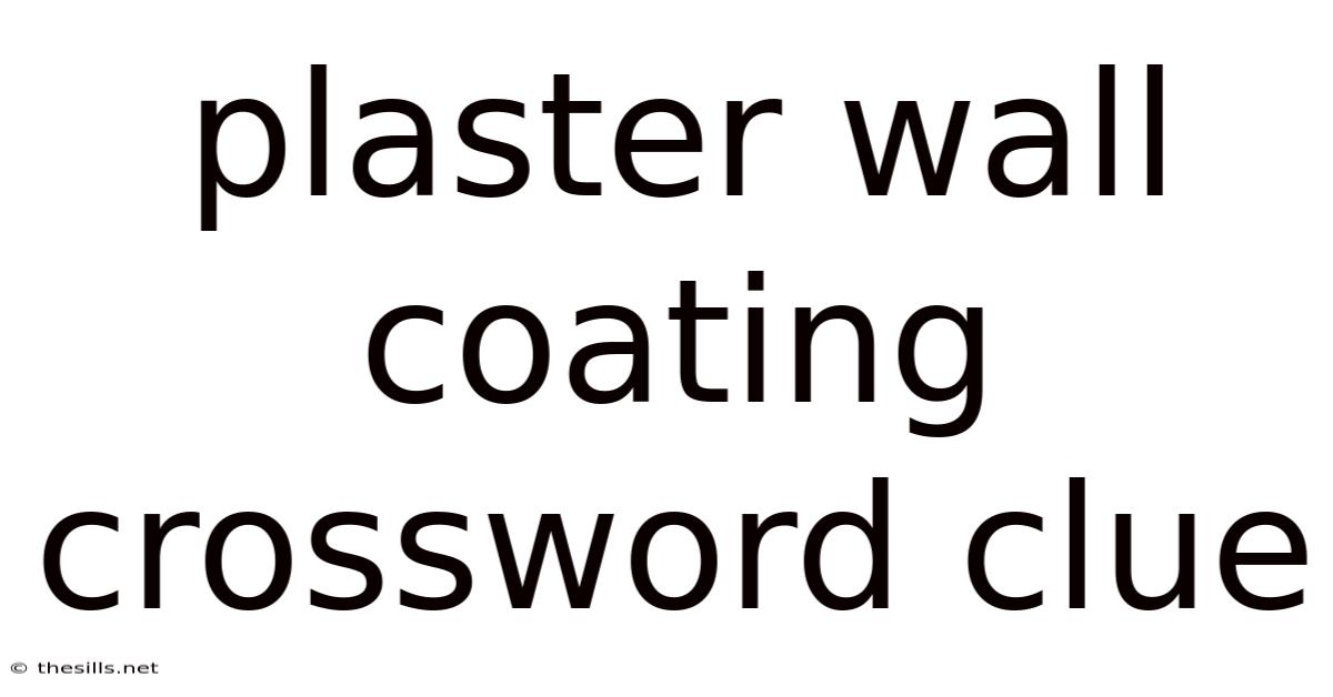 Plaster Wall Coating Crossword Clue