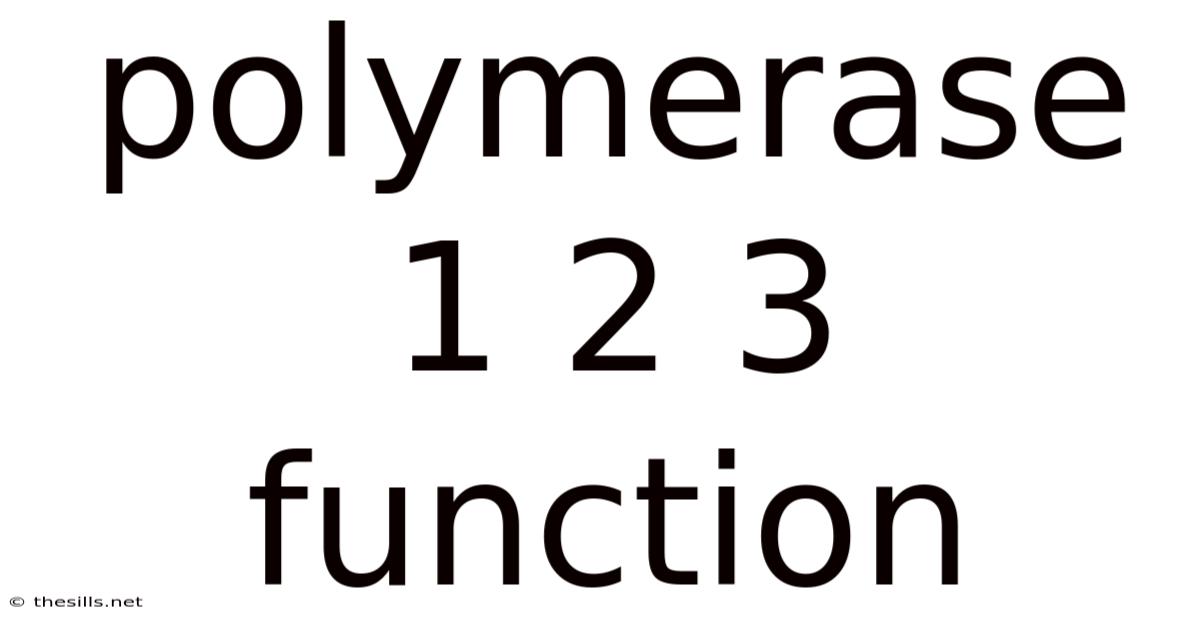 Polymerase 1 2 3 Function