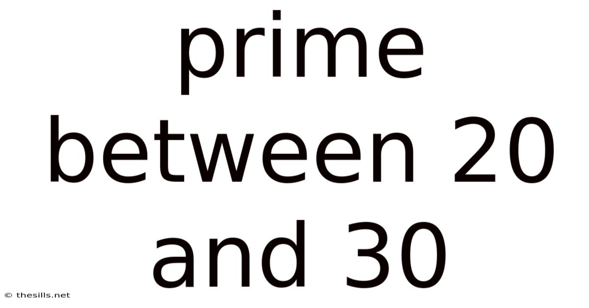 Prime Between 20 And 30