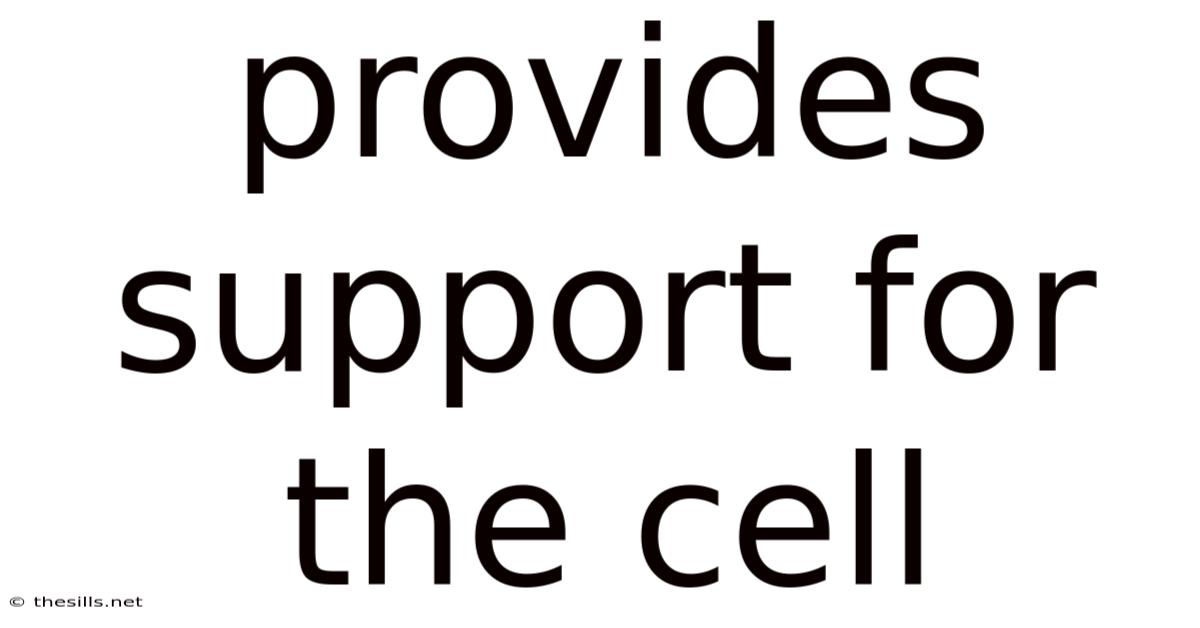Provides Support For The Cell