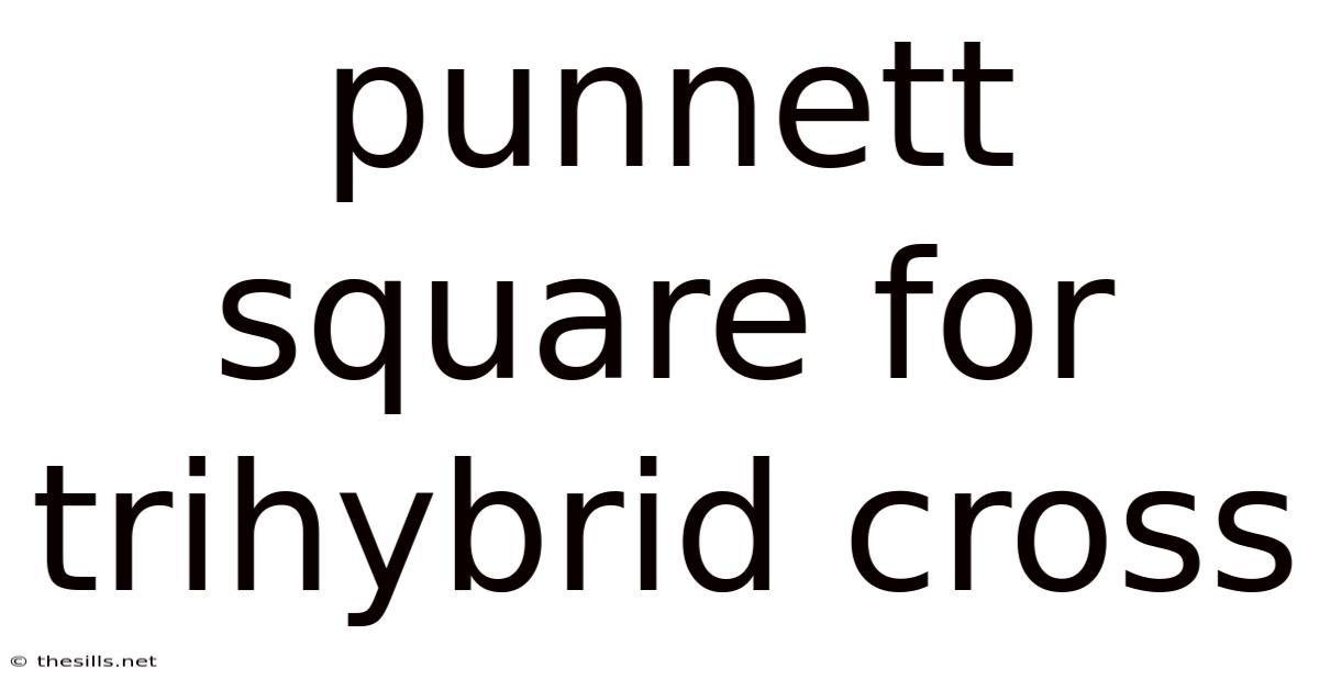 Punnett Square For Trihybrid Cross