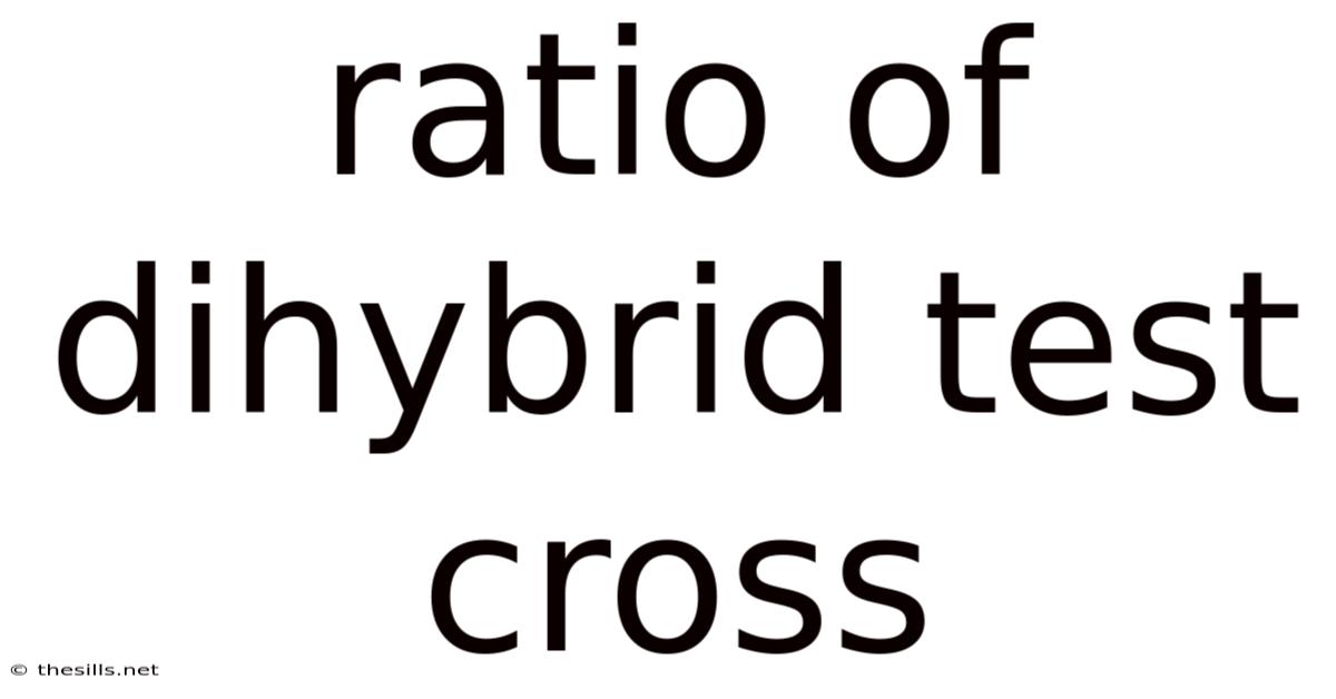 Ratio Of Dihybrid Test Cross