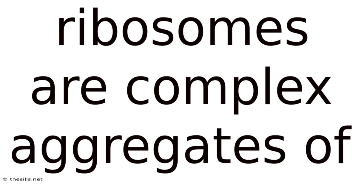 Ribosomes Are Complex Aggregates Of
