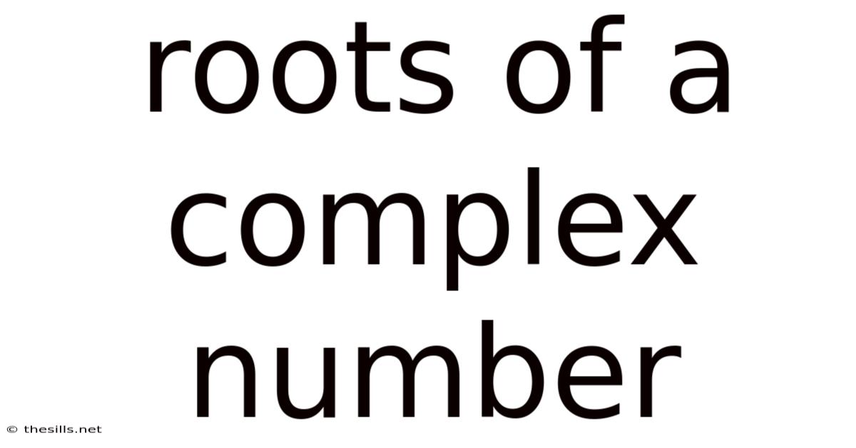 Roots Of A Complex Number