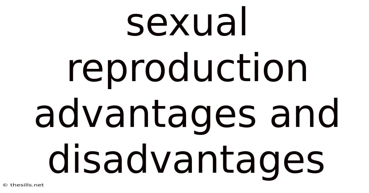 Sexual Reproduction Advantages And Disadvantages