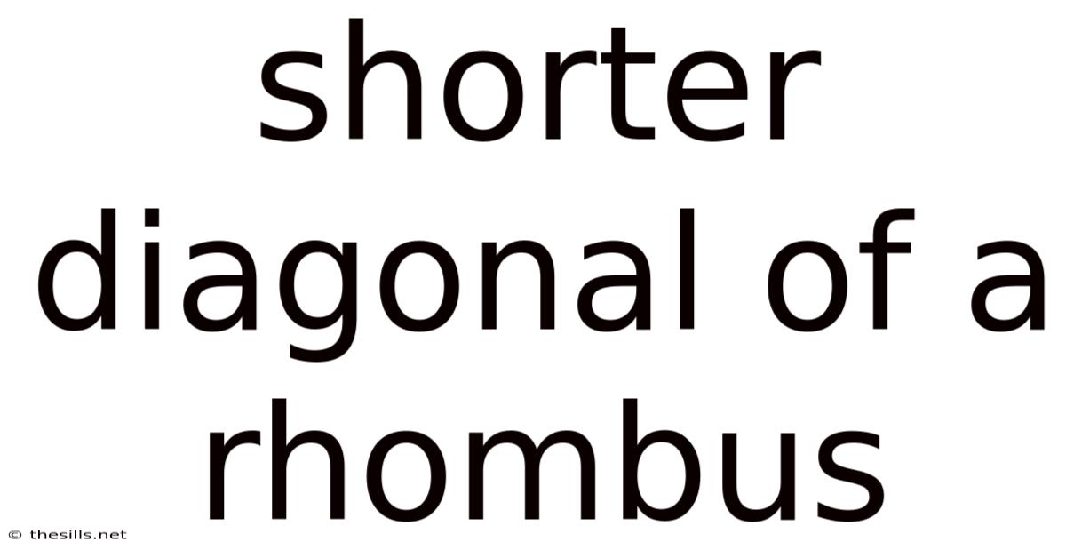 Shorter Diagonal Of A Rhombus