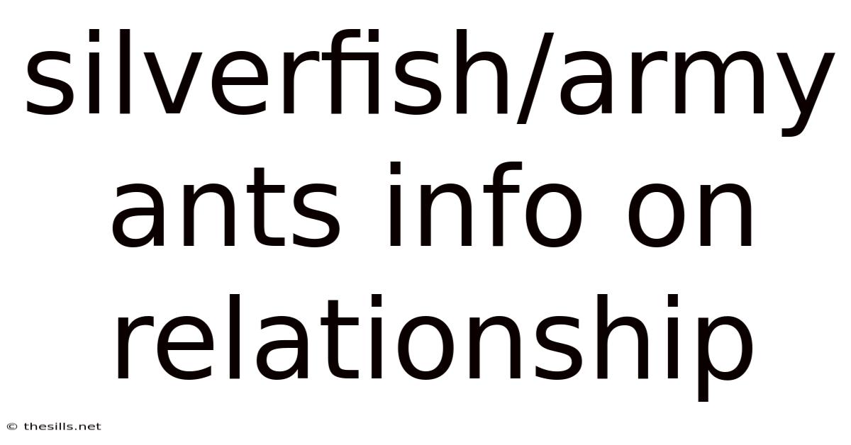 Silverfish/army Ants Info On Relationship