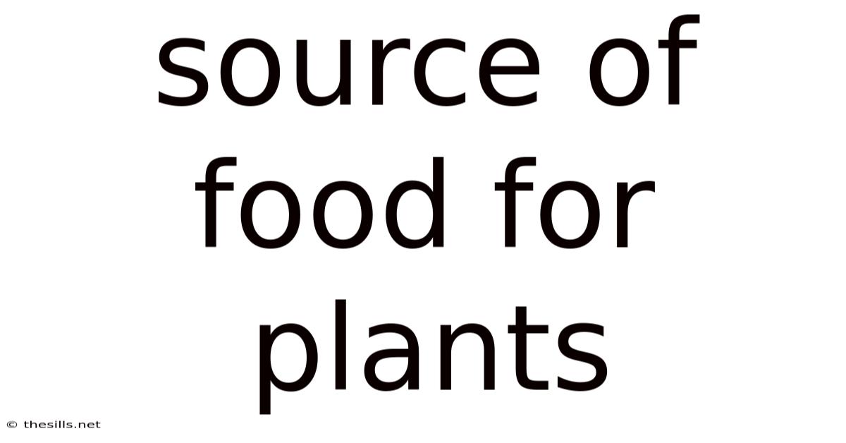 Source Of Food For Plants