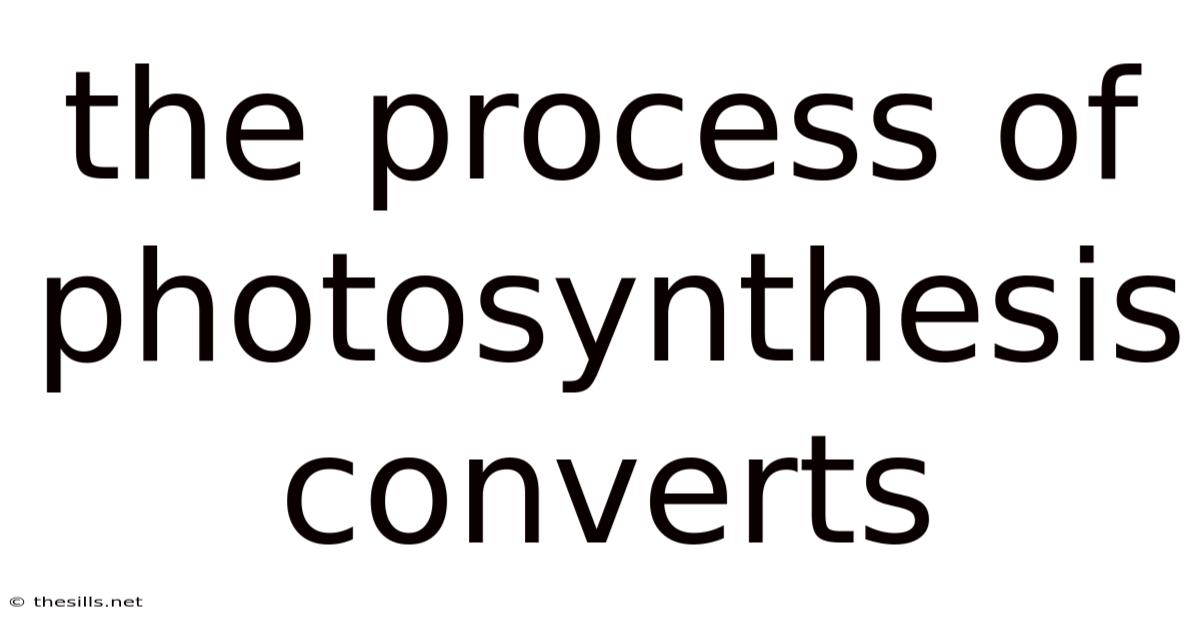 The Process Of Photosynthesis Converts