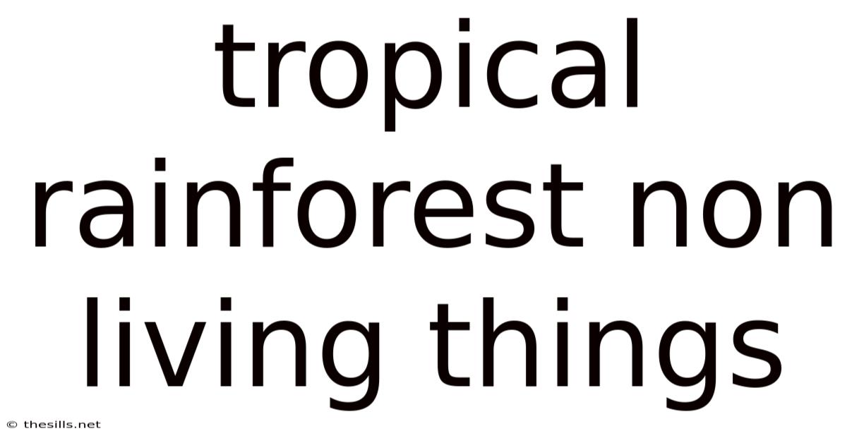 Tropical Rainforest Non Living Things