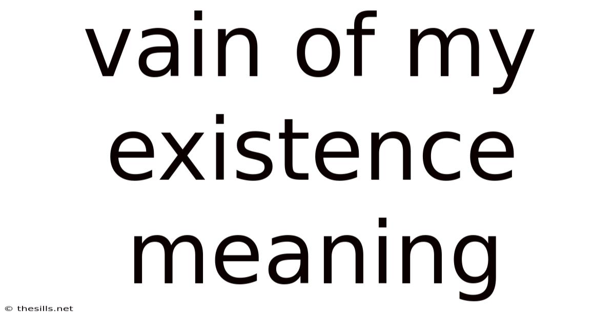 Vain Of My Existence Meaning