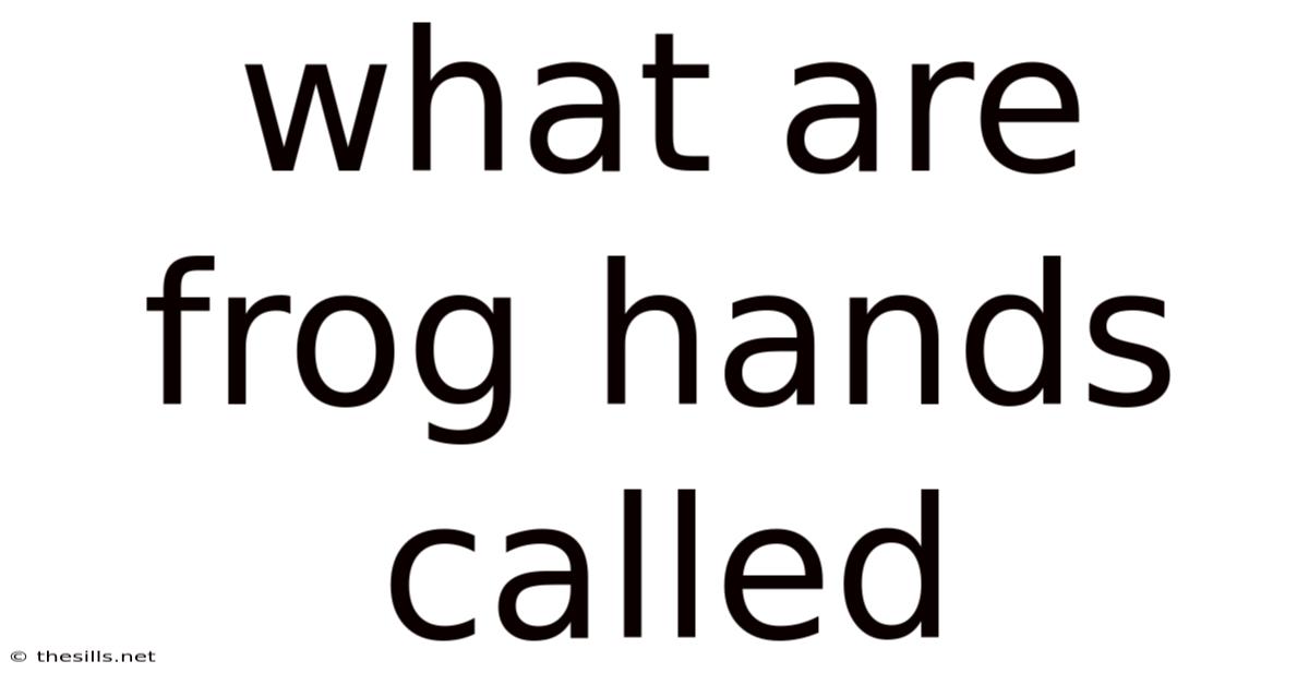 What Are Frog Hands Called